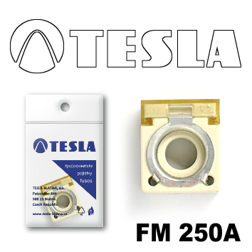Купить запчасть TESLA - FM250A Предохранитель компактный FM  250A